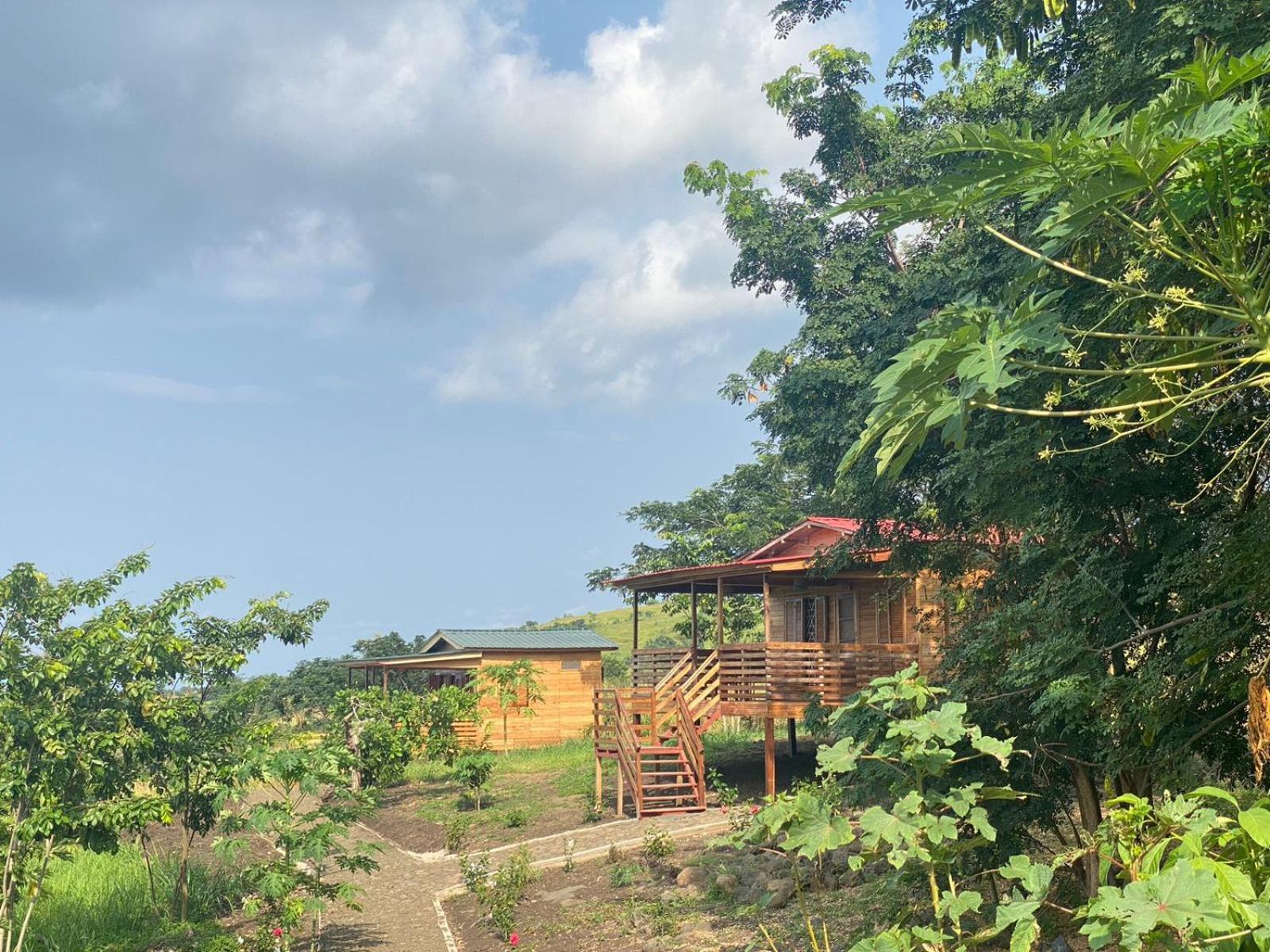 Morro Peixe Monte Mar Saotome 빌라 외부 사진